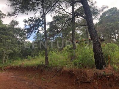 sierra encantada #4,, Mazamitla, ولاية خاليسكو 49500, المكسيك