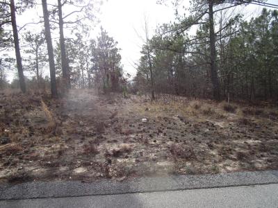 3024 Thornhill Drive, Hephzibah, Georgia 30815, Stati Uniti