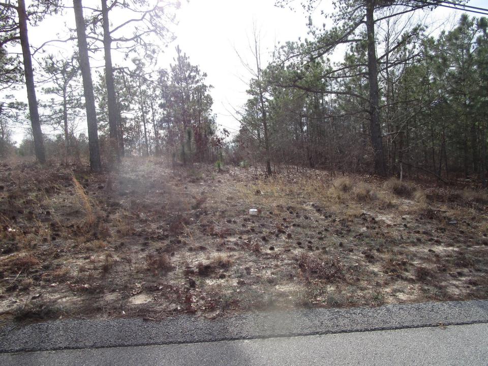 3024 Thornhill Drive, Hephzibah, Georgia 30815, Estados Unidos