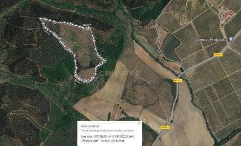 Fundão, Castelo Branco 6230-145, Portugal