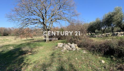 Sveti Lovreč, Sveti Lovreč, Istarska Županija 52352, Croatia