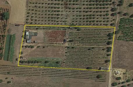 Cartaxo, Santarem 2070-413, Portogallo