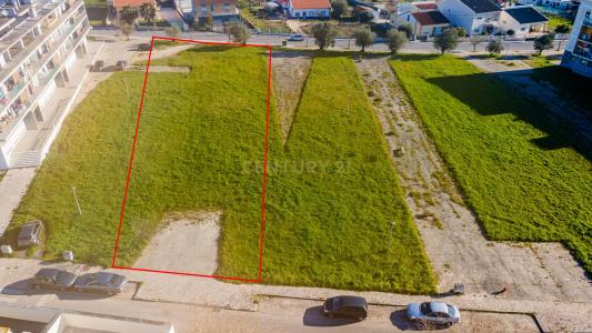 Cartaxo, Santarem 2070-001, Portogallo