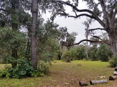 Lot 89 Huntington Rd, Crescent City, Florida 32112, Stati Uniti