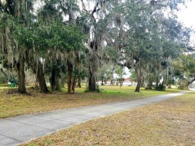 1101 N Summit St, Crescent City, Florida 32112, Stati Uniti