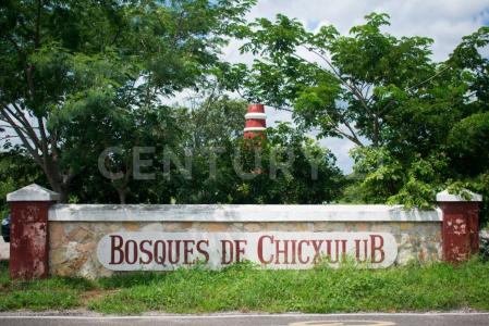 Chicxulub Pueblo, Yucatan 97340, Mexique