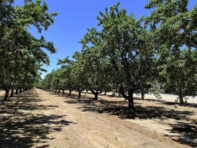 2631 Youngstown, Turlock, Kalifornia 95380, USA