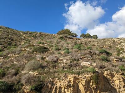 Gozo - Xlendi, Malta