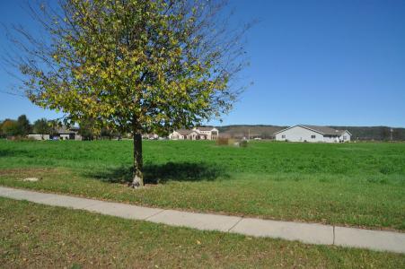 L37,38,40 Spring Street, Spring Green, ויסקונסין 53588, ארצות הברית של אמריקה 