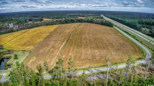 TBD Fowler Rd., Conway, South Carolina 29526, HOA KỲ