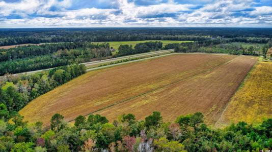TBD Fowler Rd., Conway, South Carolina 29526, HOA KỲ