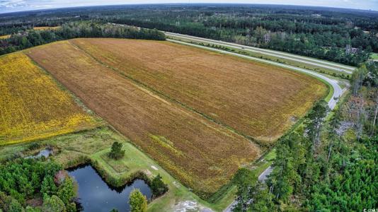 TBD Fowler Rd., Conway, South Carolina 29526, HOA KỲ