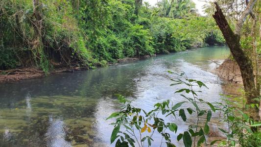 Esperanza Road , Big Falls, Toledo 00001, بيليز 