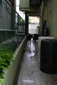  , Belize City, Belize District 00001, Belice