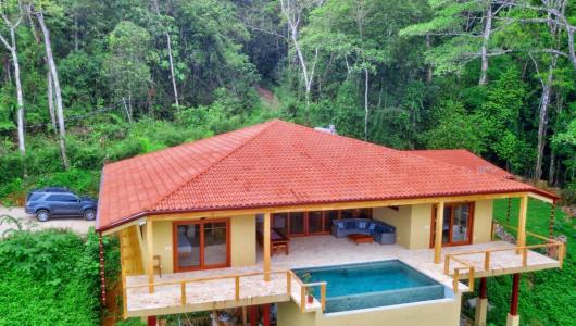 Escaleras , Escaleras Bahía Ballena Osa, Puntarenas 60607, קוסטה ריקה
