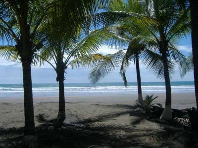 Palo seco , Parrita Parrita, Puntarenas 6002, Costa Rica