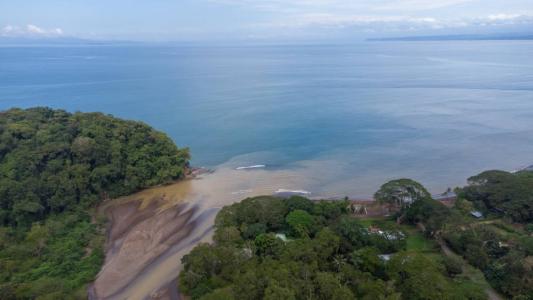 Playa Agujas , Tárcoles Garabito, Puntarenas 61102, Costa Rica