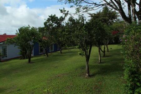 , Daniel Flores Pérez Zeledón, San José 00001, Costa Rica