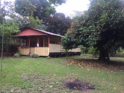 Contiguo a Finca Loroco , Bratsi Talamanca, Limón 00001, Costa Rica