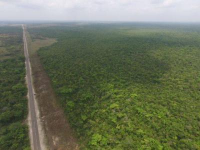 Belize District, Belize District 00001, Bélize