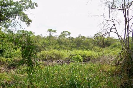 Belize District, Belize District 00001, בליז 