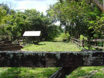 Ladyville, Belize District 00001, Belize