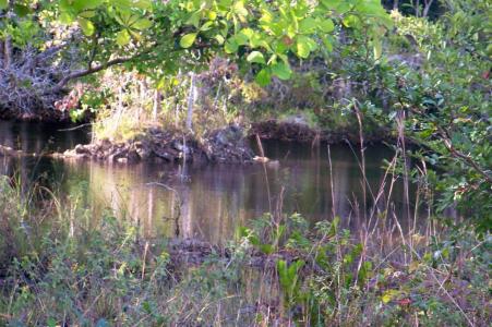 Belize District, Belize District 00001, בליז
