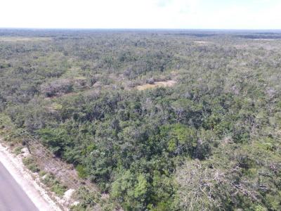 Belize District, Belize District 00001, בליז