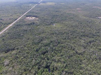 Belize District, Belize District 00001, בליז
