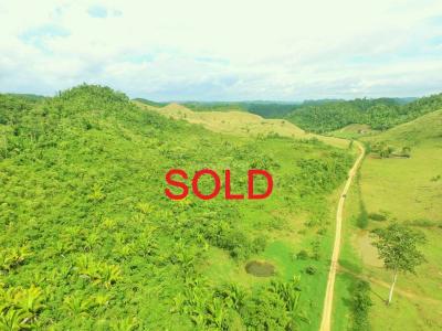 Cayo District, Cayo 00001, ベリーズ