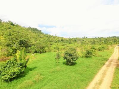 Cayo District, Cayo 00001, Belice