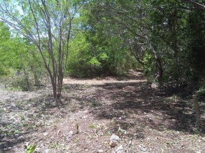 Sarteneja Village, Corozal 00001, Belize