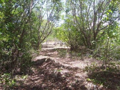 Sarteneja Village, Corozal 00001, Belize