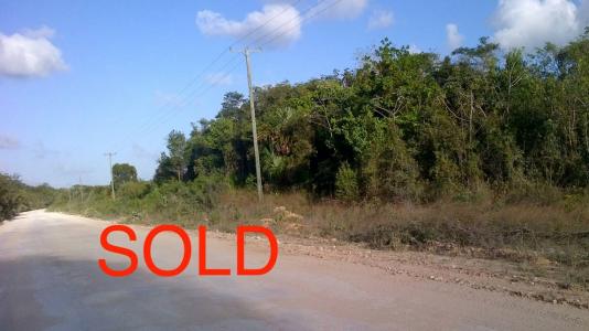 Sarteneja Village, Corozal 00001, ベリーズ