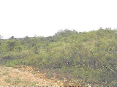 Belmopan, Cayo 00001, Belize