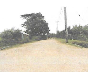 Belmopan, Cayo 00001, Belize