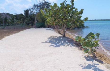 Sarteneja Village, Corozal 00001, ベリーズ