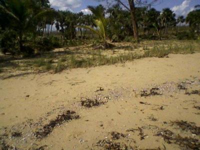 Gales Point, Belize District 00001, בליז