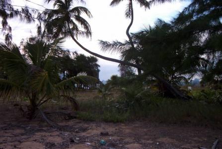 Gales Point, Belize District 00001, בליז