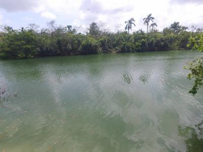 Lords Bank, Belize District 00001, Belize