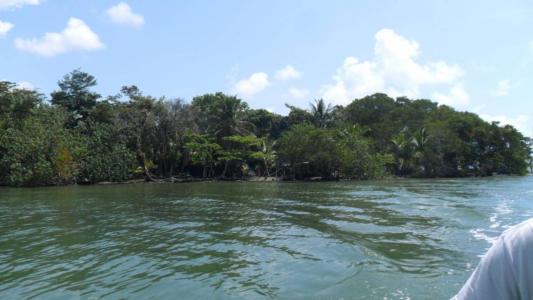 Moho River, Toledo 00001, Belize