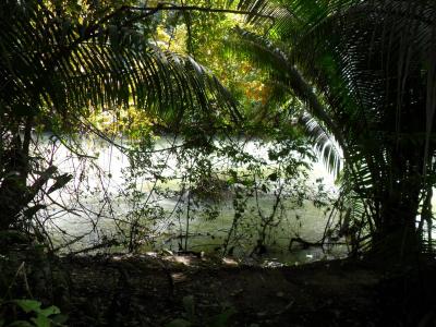 Big Falls, Toledo 00001, ベリーズ