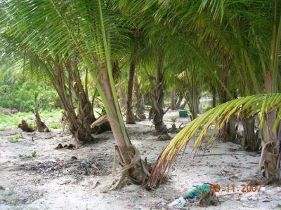 Islands Cayes 00001, Belize