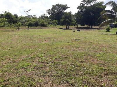 Belmopan, Cayo 00001, Belize