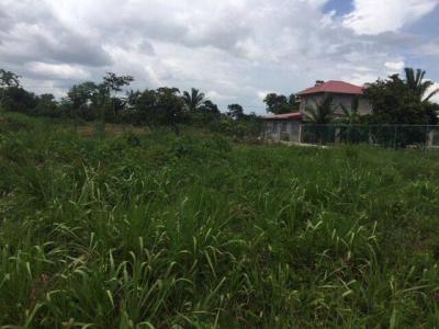 Belmopan, Cayo 00001, ベリーズ