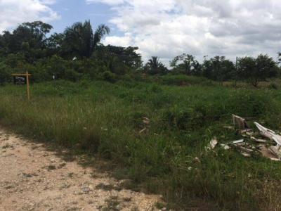 Belmopan, Cayo 00001, ベリーズ