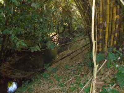 Jacintoville, Toledo 00001, Belize