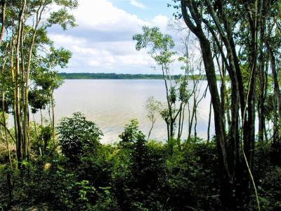 Progresso, Corozal 00001, Belize