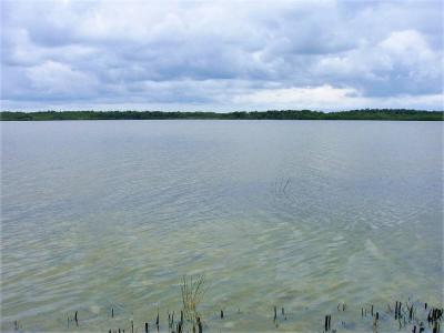 Progresso, Corozal 00001, Belice