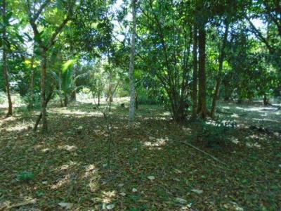 Cattle Landing, Toledo 00001, Belize